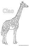 Giraffa disegno